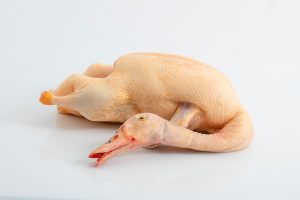 Canard gras fermier entier sans foie Label Rouge 4,100kg